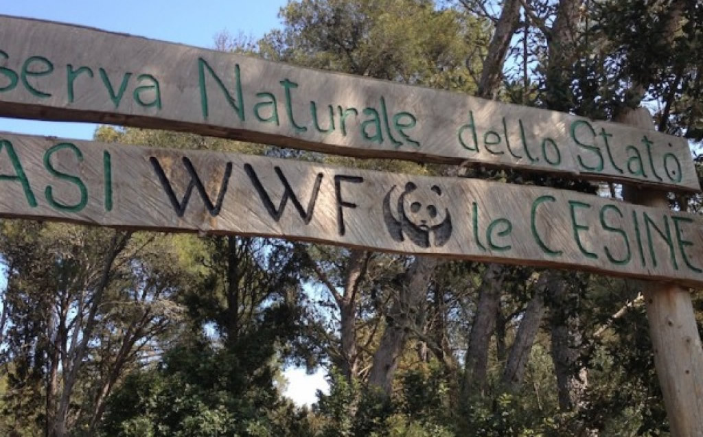 ACAYA DALLE CESINE A ROCA